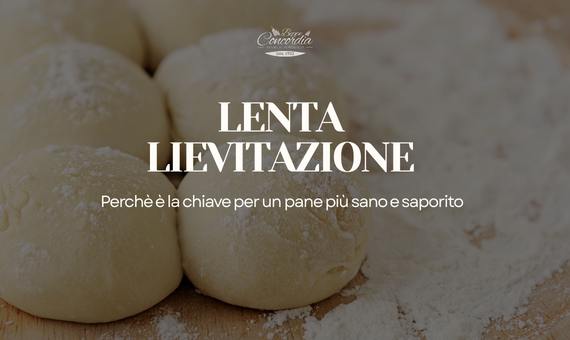 pane a lievitazione lenta bari
