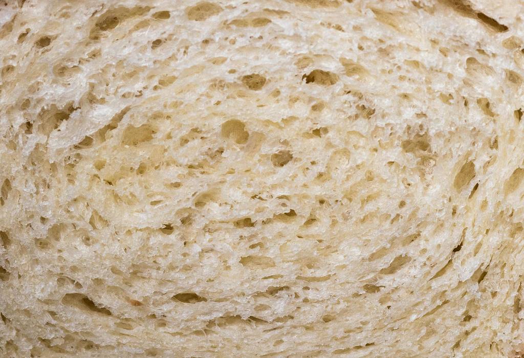 lievito madre benefici - Panificio Adriatico