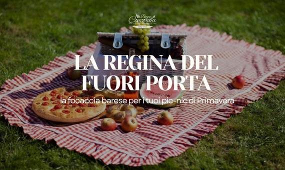 focaccia barese regina dei picnic - panificio adriatico