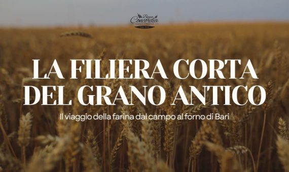 pane di grani antichi dove trovarlo a Bari | Panificio Adriatico