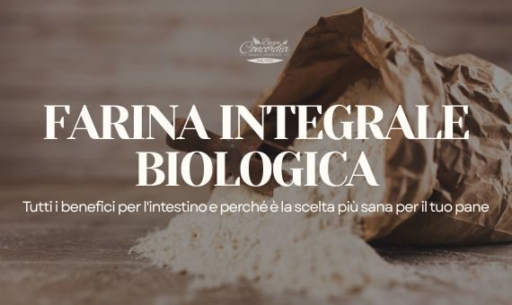 benefici pane con farina integrale biologica | Panificio Adriatico